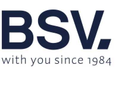 bsv electronics logo